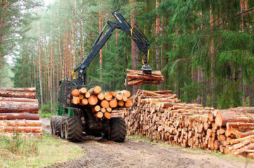 Tyyppihyväksyntä myönnetty Tamtron One Timber-puutavaravaa’alle